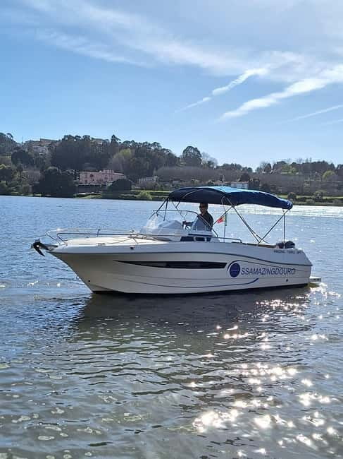 Private Boat Tour in Porto with Portuguese Tapas Option - An In-Depth Look at the Private Boat Tour in Porto