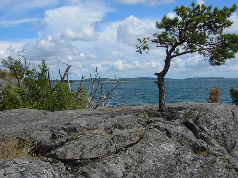 Private Boat Tour in Stockholm - The Sum Up