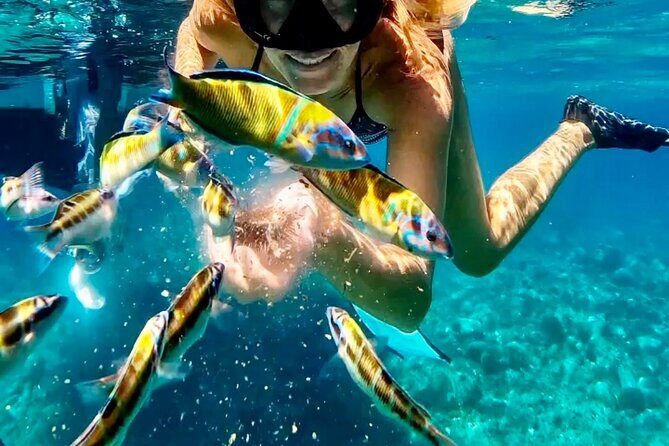 Private Boat Tour in Tropea - Up to 9 Guests, Unique Experience! - Key Points