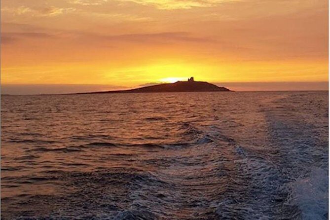 Private Boat Tour Palermo - An authentic way to explore Palermo’s stunning coastline: the private boat tour experience