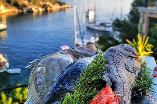 Private boat tour skippered by a local expert - fully customizable - The Skippers: Local Experts with a Personal Touch