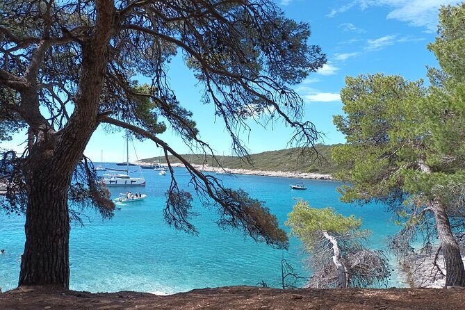 Private Boat Tour To Pakleni Islands and Red Rocks - The Sum Up: Who Is This Tour Perfect For?