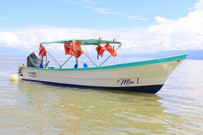 Private Boat Tour to Yelapa and Majahuitas Snorkel (up to 7 guests) - FAQ