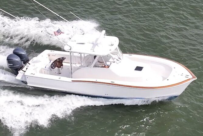 Private Boat Tours and dolphin encounters in Avalon NJ - Key Points