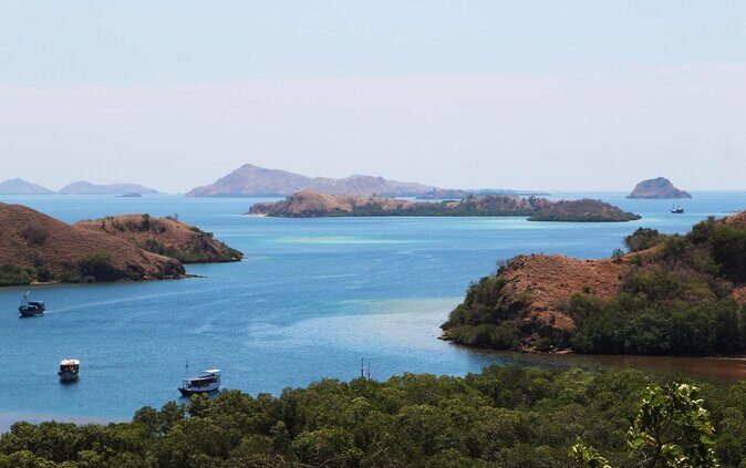 Private boat trip Komodo 2 or more person for 3 days 2 nights, Kelor, Rinca... - The Value of This Experience