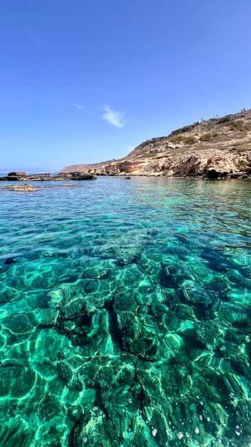 Private Boat Trip Playa de Palma Marine Reserve - Final thoughts