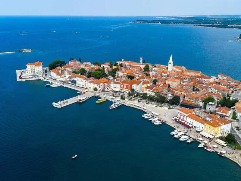 Private boat trips in Porec: dolphin watching, panoramic tour - Why This Tour Stands Out