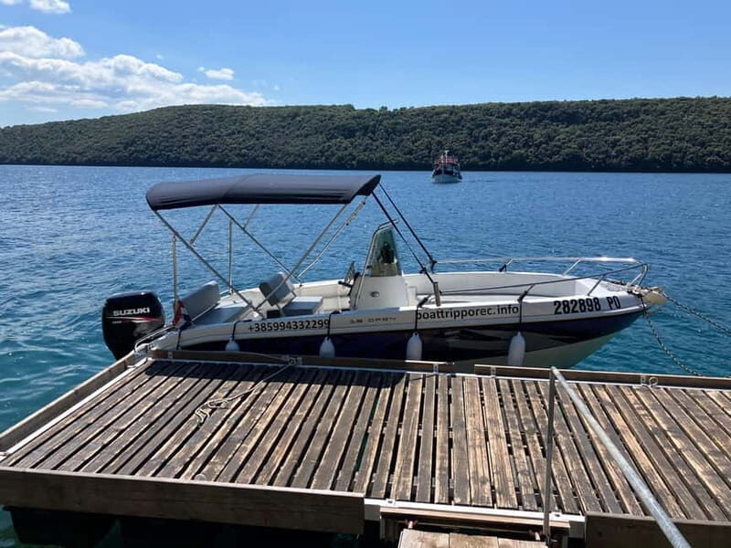 Private boat trips in Porec: dolphin watching, panoramic tour - The Sum Up