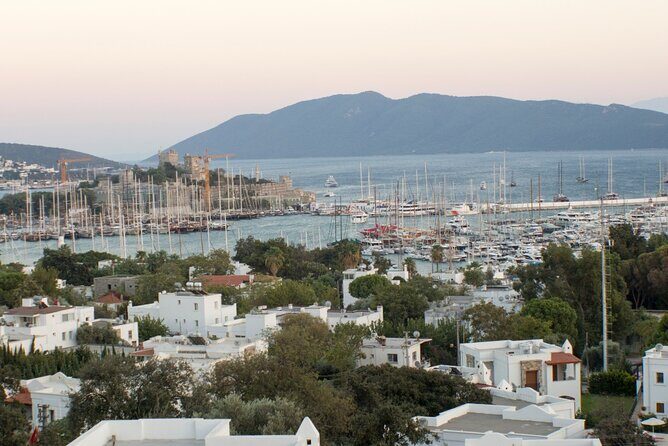 Private Bodrum City Tour for Cruise Passangers - Key Points