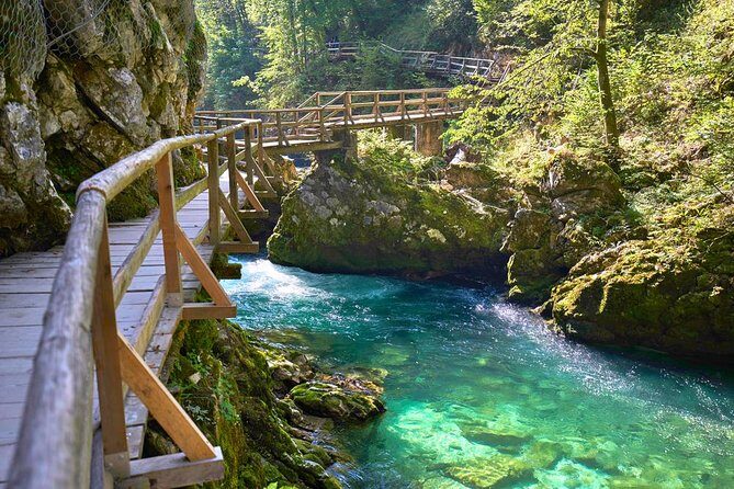 Private Bohinj & Vogel Tour from Bled - An In-Depth Look at the Tour Experience