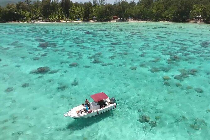 Private Bora Bora Lagoon & Water Lunch Experience - The Experience in Detail