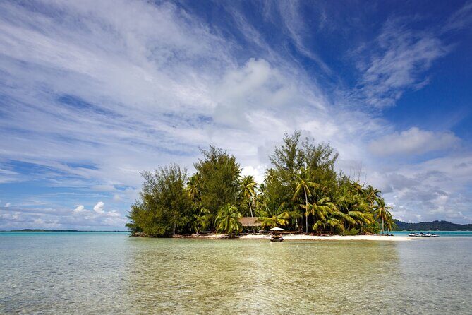 Private Bora Bora Snorkeling Cruise with Optional Vegetarian Lunch on the Beach - The Experience in Detail