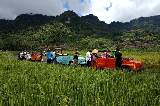 Private Borobudur Village Trip By Volkswagen Safari - Considering the Experience