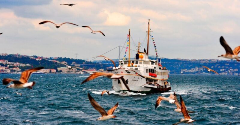 Private Bosphorus Sightseeing Cruise By Luxury Yacht - Who Will Love This Experience?