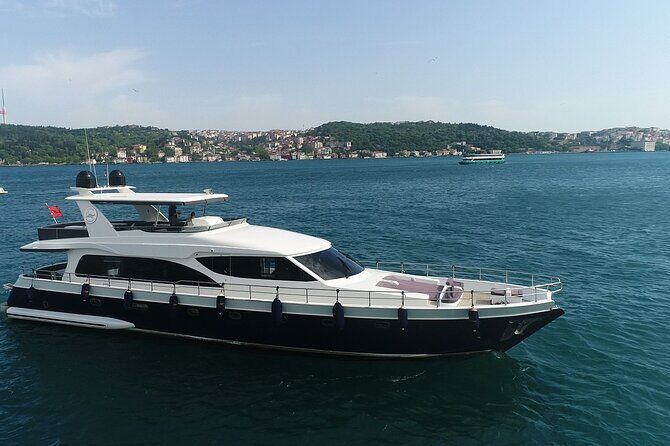 Private Bosphorus Sightseeing Cruise on Luxury Yacht - Food, Drinks, and the Overall Experience