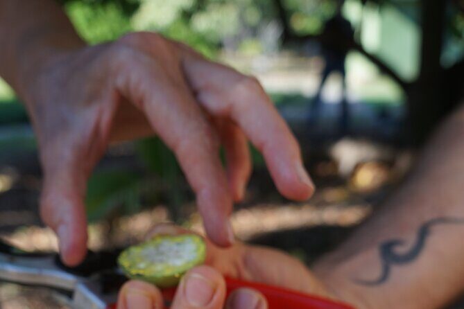 Private Botanical Garden Experience in the Heart of Maui - Key Points