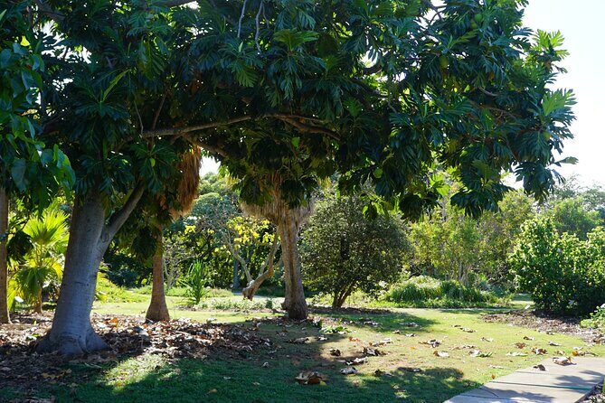 Private Botanical Garden Experience in the Heart of Maui - Final Thoughts