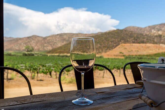 Private Boutique Wine Tour in Valle de Guadalupe - The Sum Up
