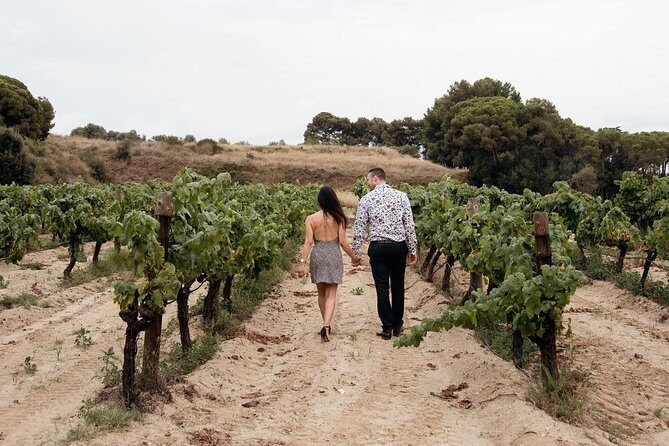 Private Breakfast Winery Experience - Private Wine Tasting Tour - FAQ: Your Practical Questions Answered