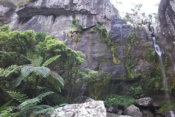 Private Breathtaking Koroyanitu Half Day Waterfall Hike - An Authentic Adventure Through Fiji’s Mountainous Heart