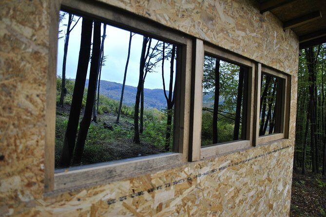 Private Brown Bear Watching Experience near Odorheiu Secuiesc - The Journey Begins in Cristuru Secuiesc