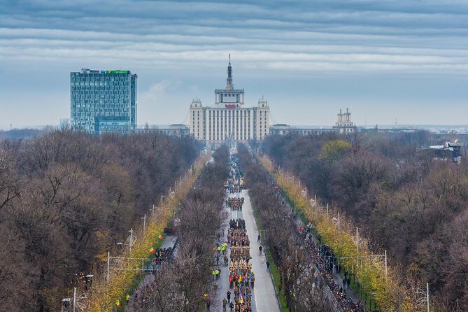Private Bucharest city tour visit the Palace of the Parliament & Village Museum - What the Reviews Say