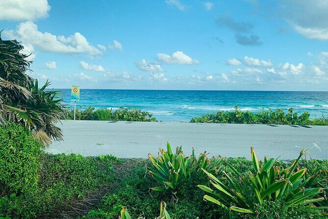 Private Buggy Tour in Cozumel, Snorkel & Lunch: All Inclusive - FAQ