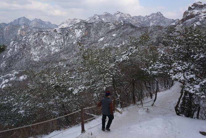 Private Bukhansan Hiking Tour (More Members Less Cost per Person) - FAQ