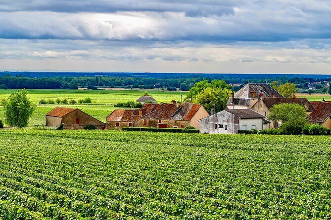 Private Burgundy 3 Domaines Chateau Pommard Chablis 15 Wines Trip - FAQ
