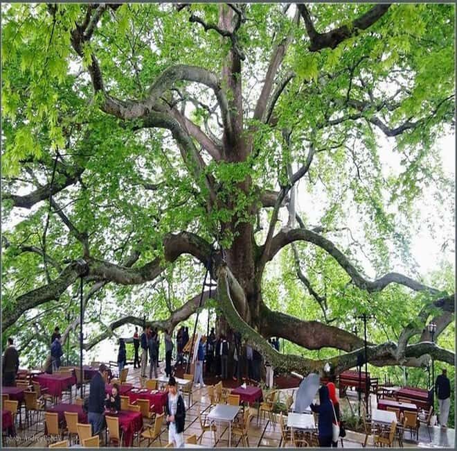 Private Bursa Tour: History, Nature & Culture from Istanbul - Final Thoughts: Who Will Love This Tour?