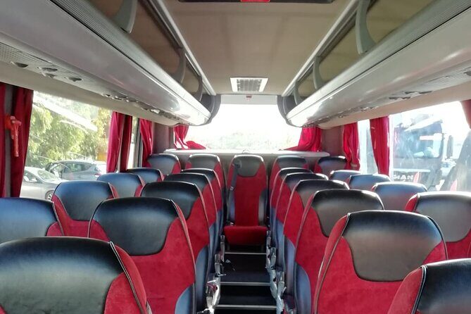 Private Bus from Trieste Cruise Port to Venice, piazzale Roma - Who Will Benefit Most?