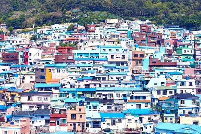 Private Busan Tour with hidden gem of Busan by Local Guide - Final Thoughts