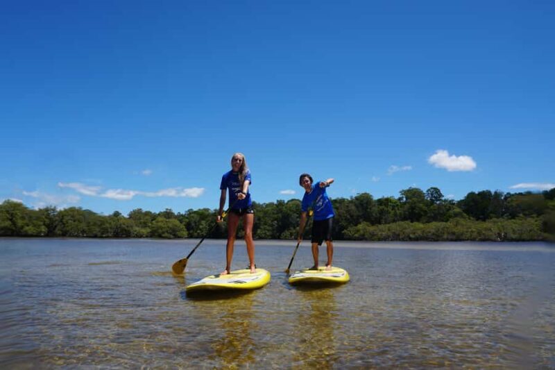 Private Byron Bay: 2-Hour Stand Up Paddle Board Nature Tour - What to Expect from the Byron Bay SUP Tour