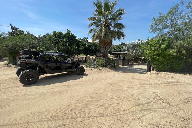 Private Cabo Buggy Rides and Can Am Adventures - Key Points