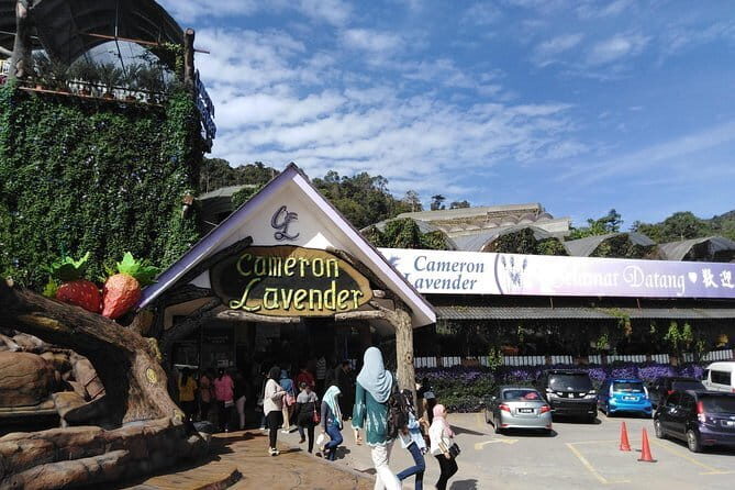 Private: Cameron Highlands 2 days 1 night Trip - Key Points