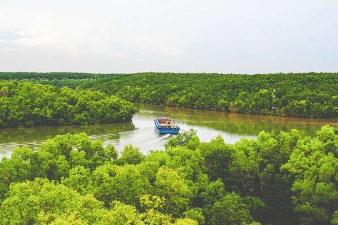 Private Can Gio Mangrove Forest 1 Day - Authenticity, Value, and Practical Tips