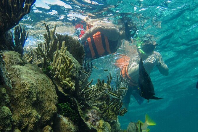 Private Cancun Boat Trip to Isla Mujeres with Snorkeling - The Real Value of This Tour