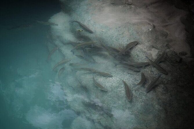 Private Canyon&Cave Tour from Kutaisi(Martvili-Okatse-Prometheus) - FAQ