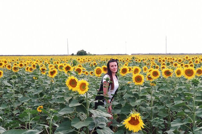Private Cape Kaliakra & the Balchik Botanical Gardens from Varna - Cape Kaliakra: The Wild Coastline and Ancient Ruins