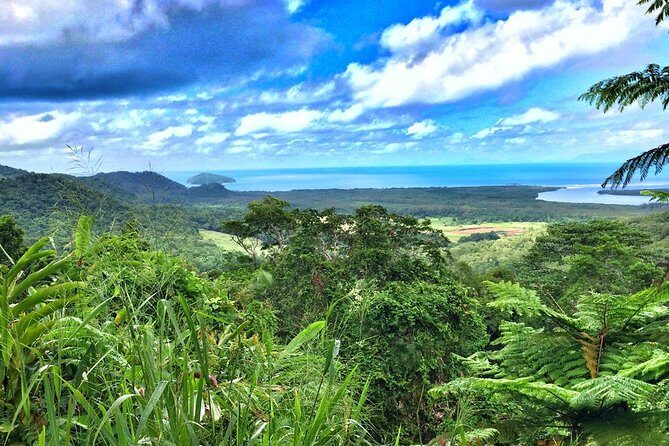 Private Cape Tribulation & Mossman Gorge Day Tour - Key Points