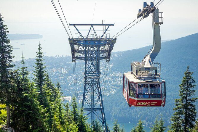 Private Capilano Bridge Grouse Mountain and Lighthouse Day Trip - Who Will Love This Tour?
