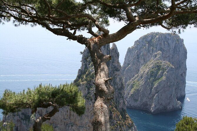 Private Capri Blue Grotto No Stress Tour With Kids From Naples - The Detailed Breakdown of the Itinerary