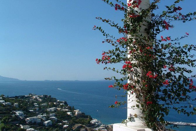 Private Capri Blue Grotto No Stress Tour With Kids From Naples - Who This Tour Is Best For