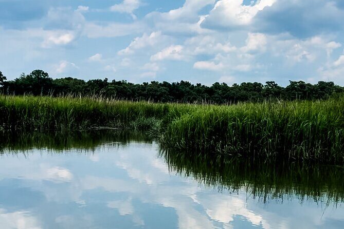 Private Captained Luxury Electric Boat Charter in Savannah - The Sum Up