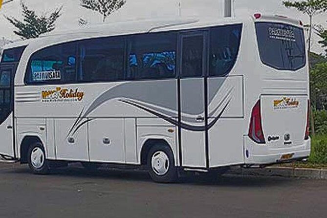 Private Car : Airport Transfer Jakarta Minibus 20 Pax - Key Points