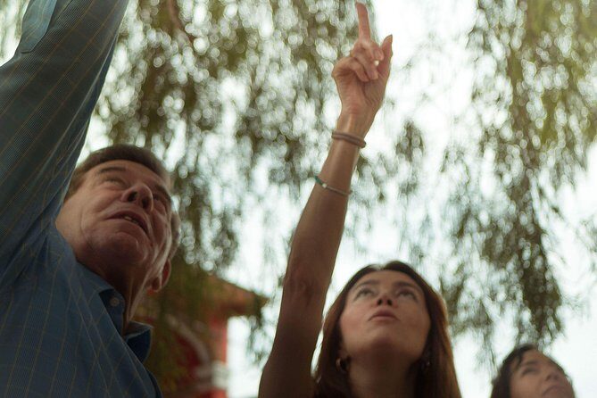 "Private Car and Driver - Passenger insurance -Master Artist's Studios -Weavers- - Key Points