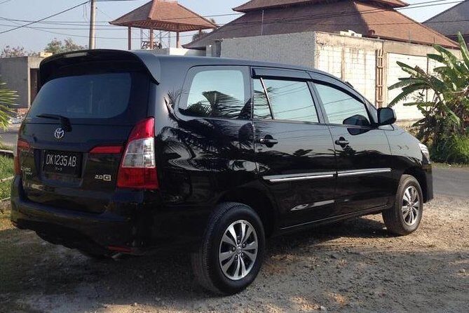 Private Car Charter in Bali with an English-speaking Driver - Who Should Book This Experience?