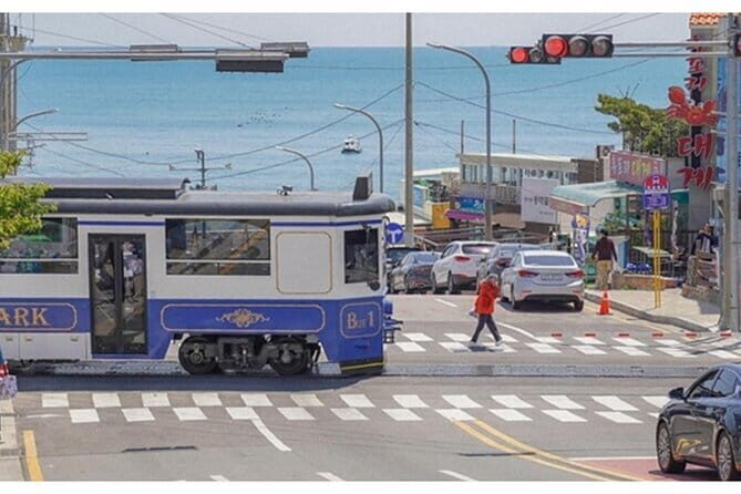 Private Car Charter Tour in Busan City - An In-Depth Look at the Busan Private Car Tour