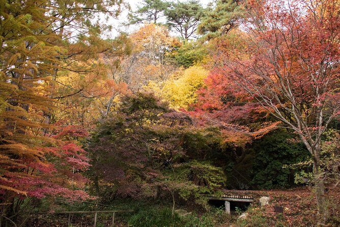 Private Car Day Trip to the Kobe Mountains, Gardens and Hot Springs from Osaka - Arima Onsen: Hot Springs and Local Charm