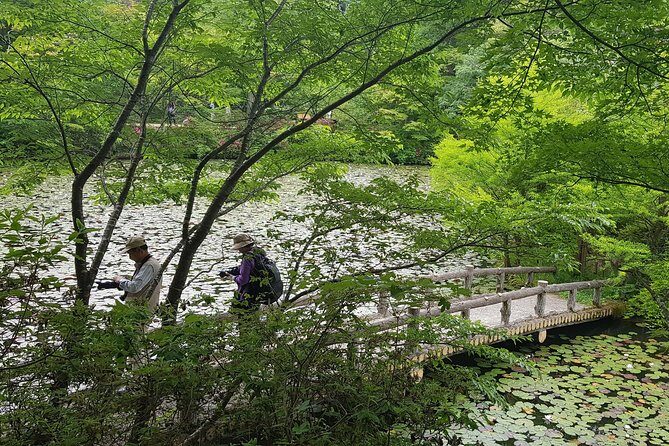 Private Car Day Trip to the Kobe Mountains, Gardens and Hot Springs from Osaka - Authentic Insights from Reviews